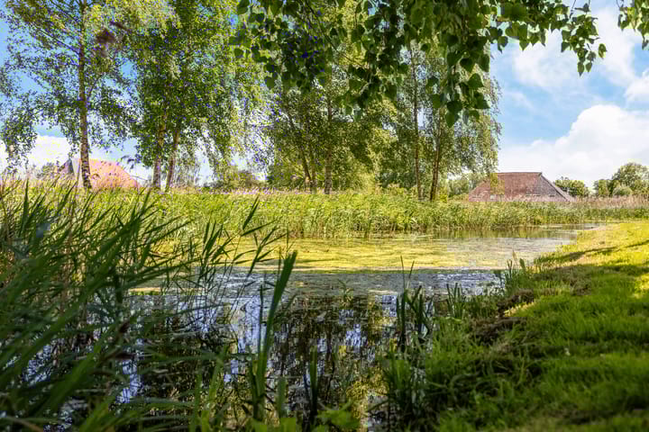 Photo 6 of Greate Súdein 6