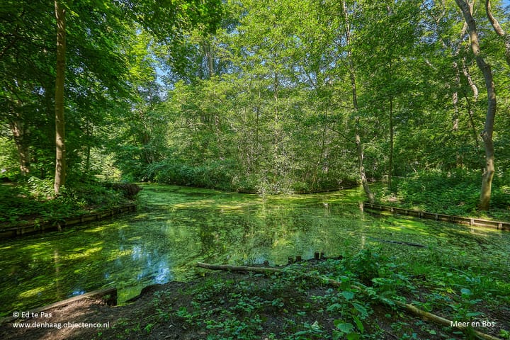 Foto 32 van Godetiaweg 56