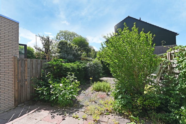 Foto 13 van 't Hert 100