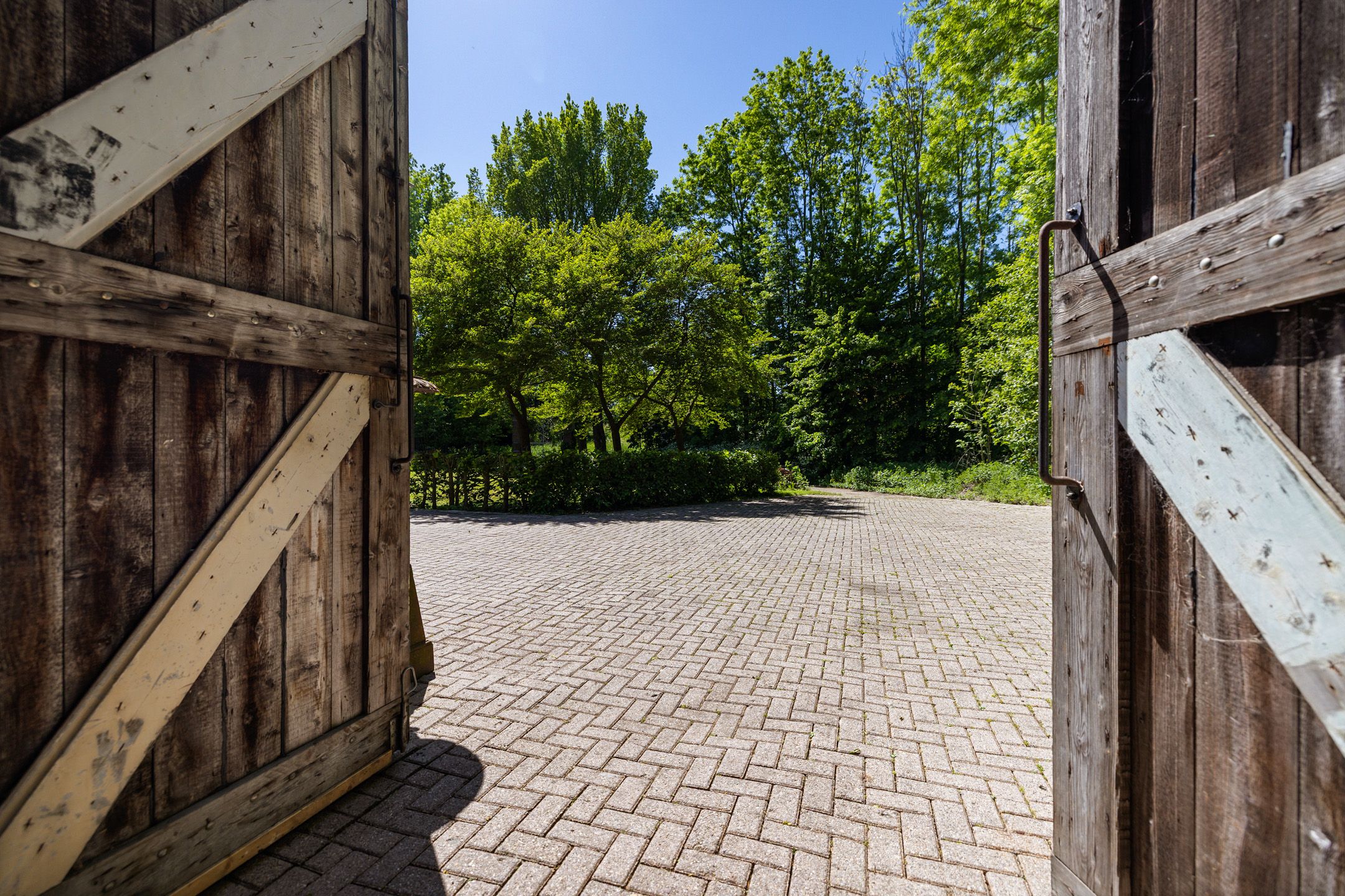 Photo 33 of Greate Súdein 6