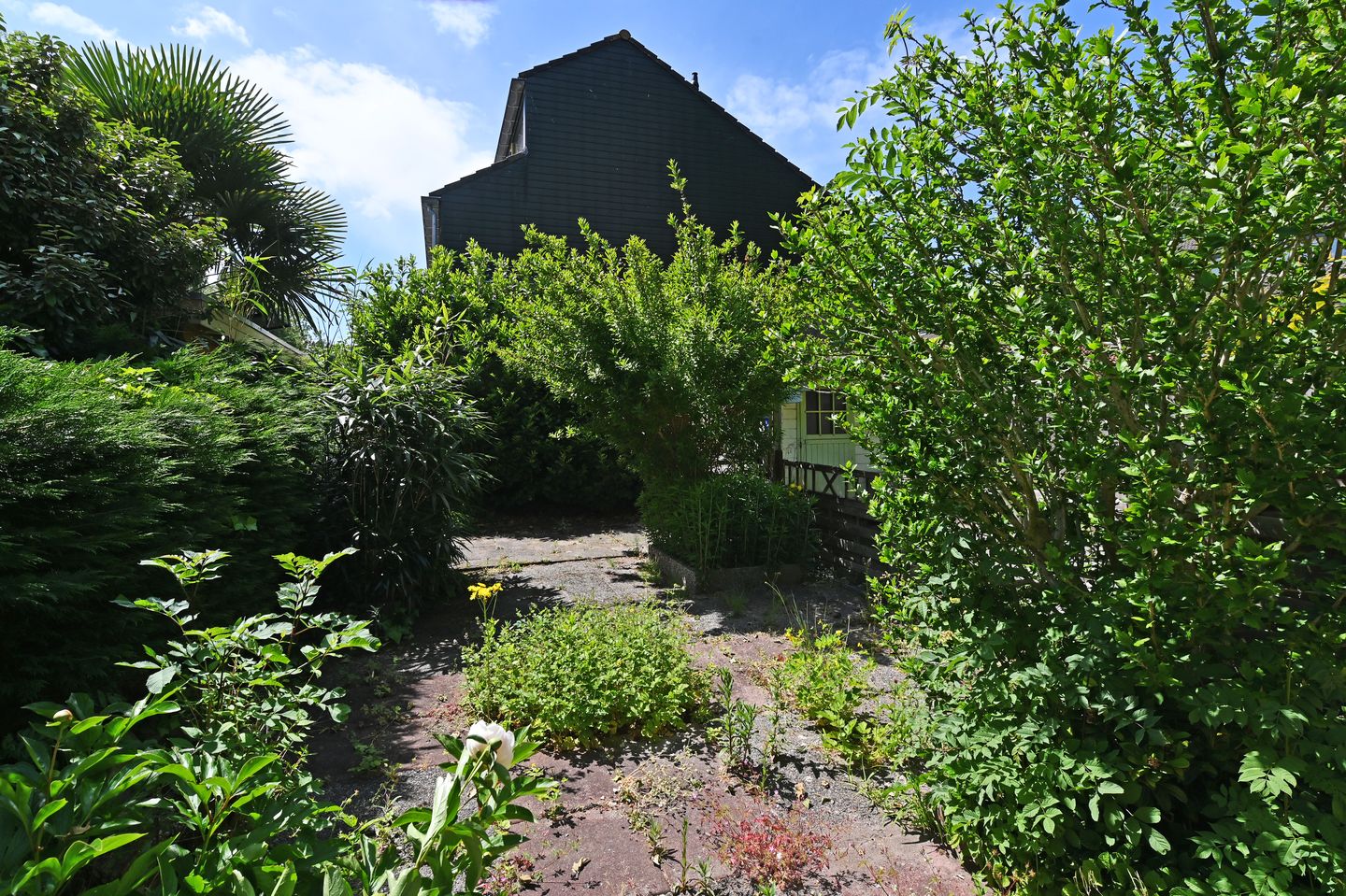 Foto 14 van 't Hert 100