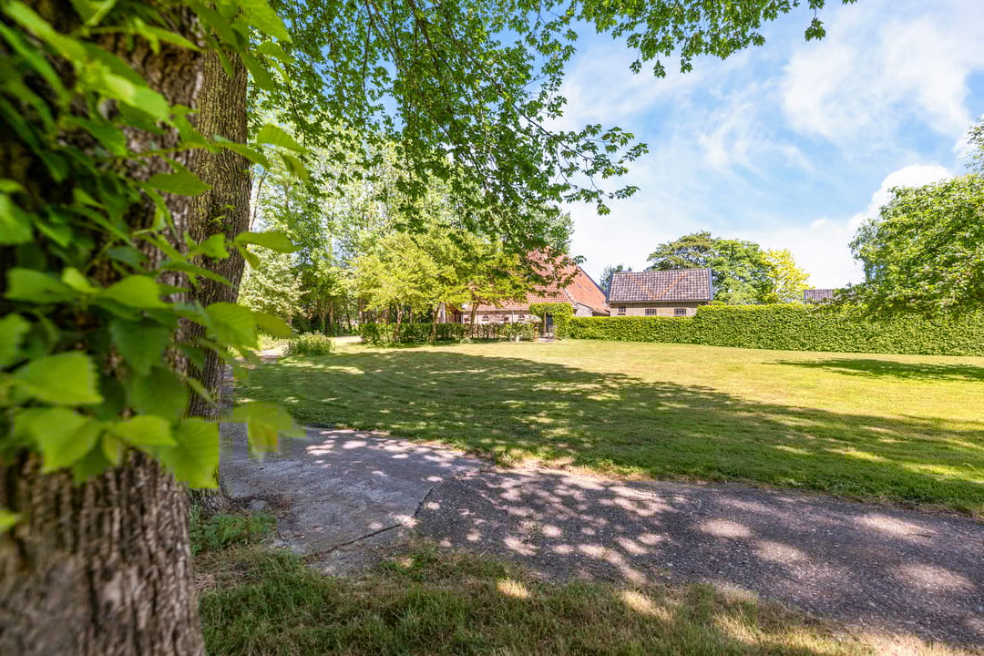 Photo 43 of Greate Súdein 6