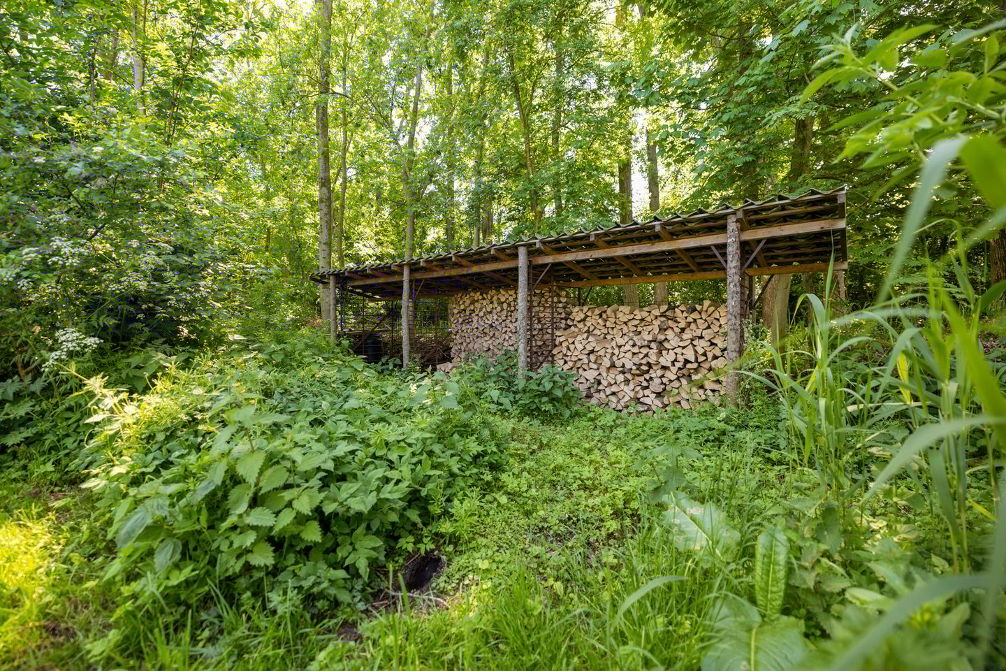 Photo 44 of Greate Súdein 6