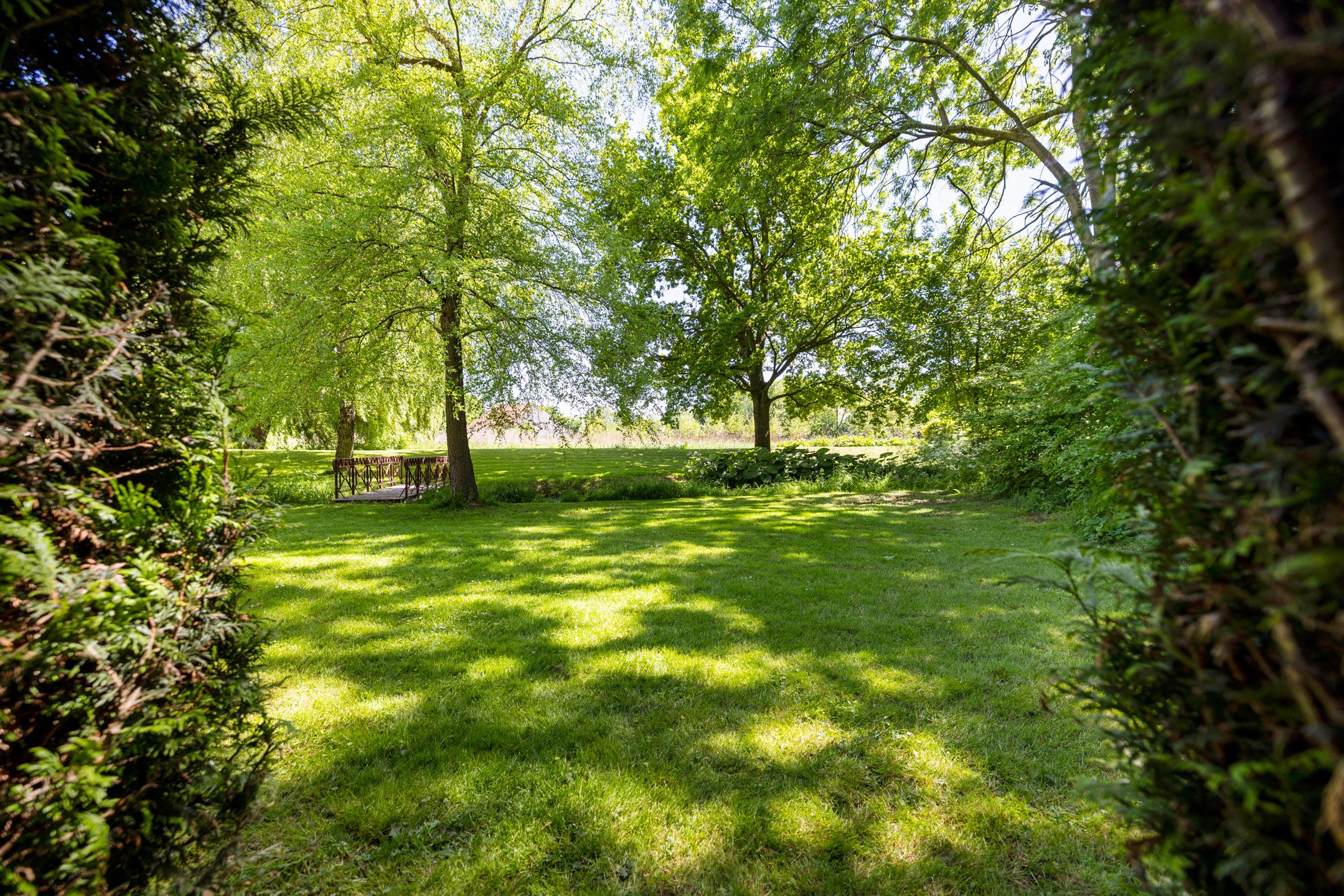 Photo 45 of Greate Súdein 6