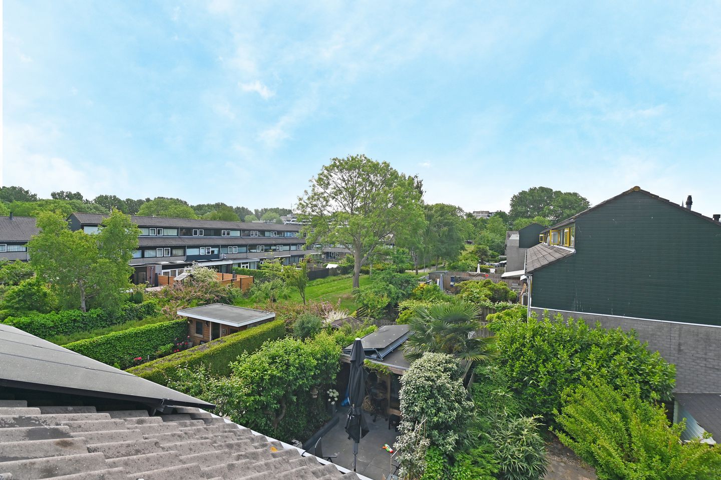 Foto 29 van 't Hert 100