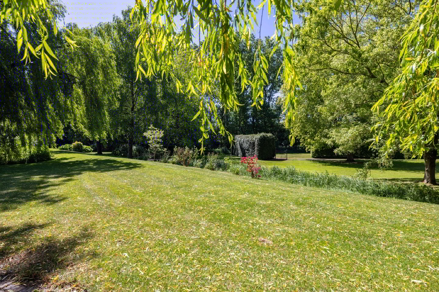 Photo 50 of Greate Súdein 6