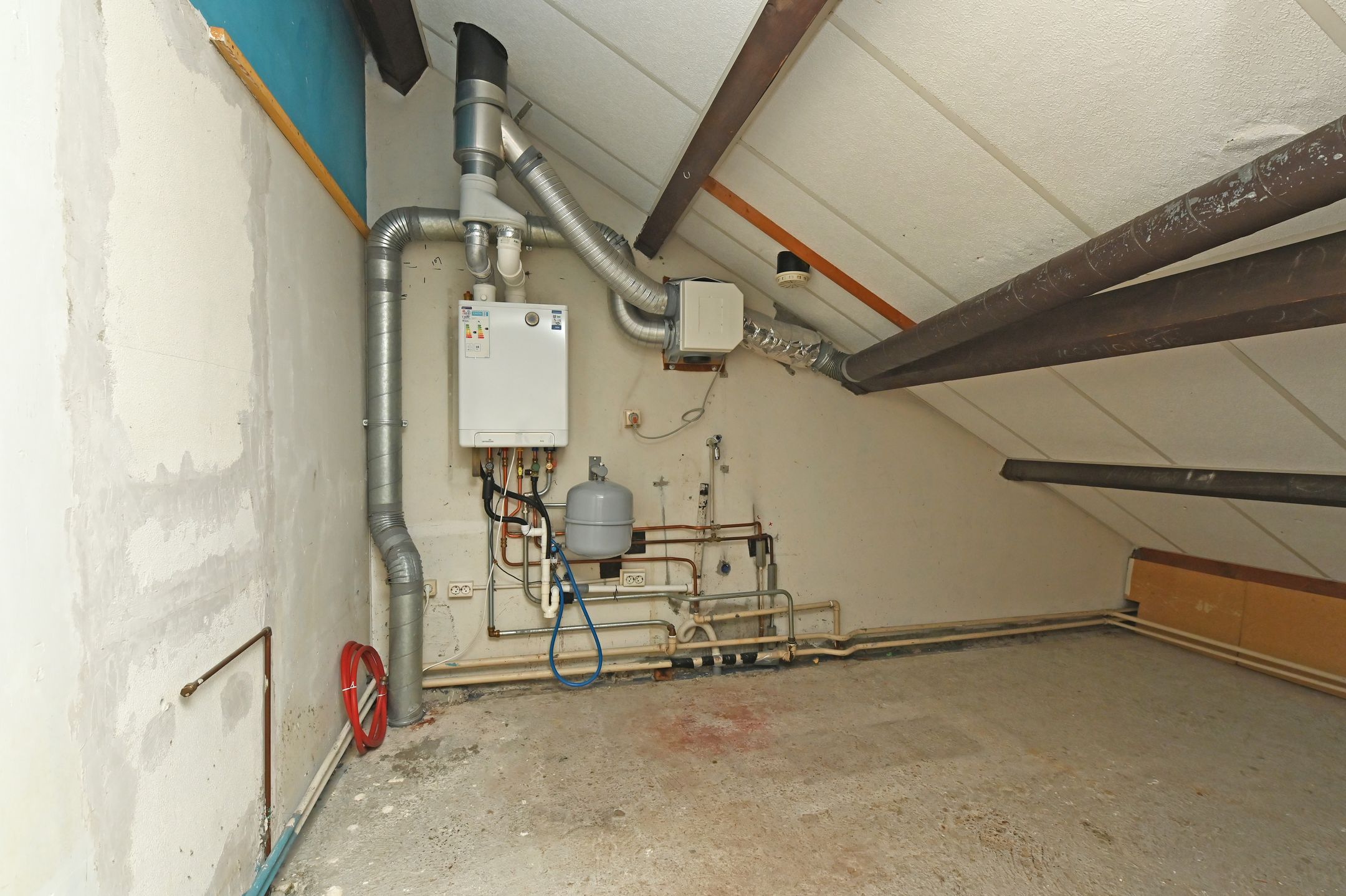 Foto 30 van 't Hert 100