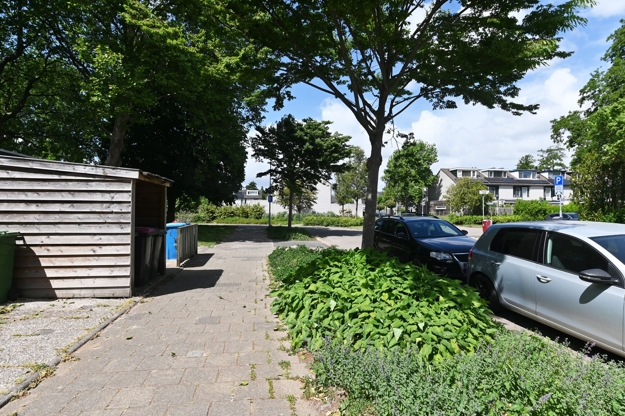 Foto 33 van 't Hert 100