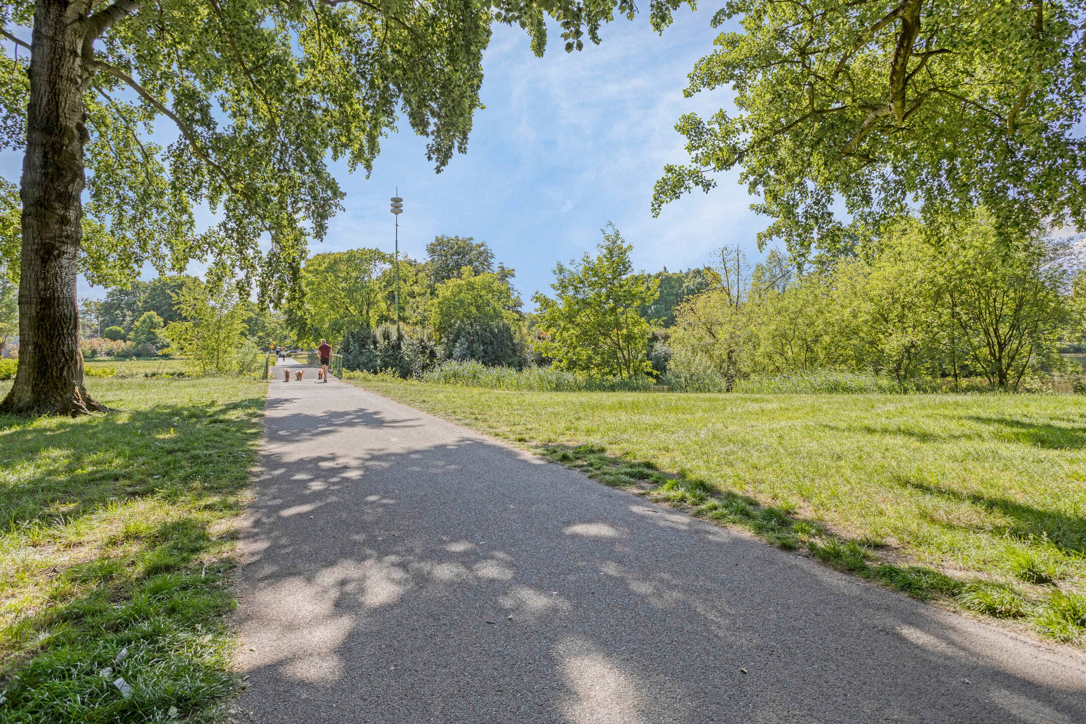 Foto 33 van St Plechelmuspad 5