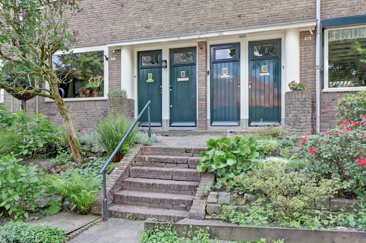 Foto 5 van Frans Halslaan 49