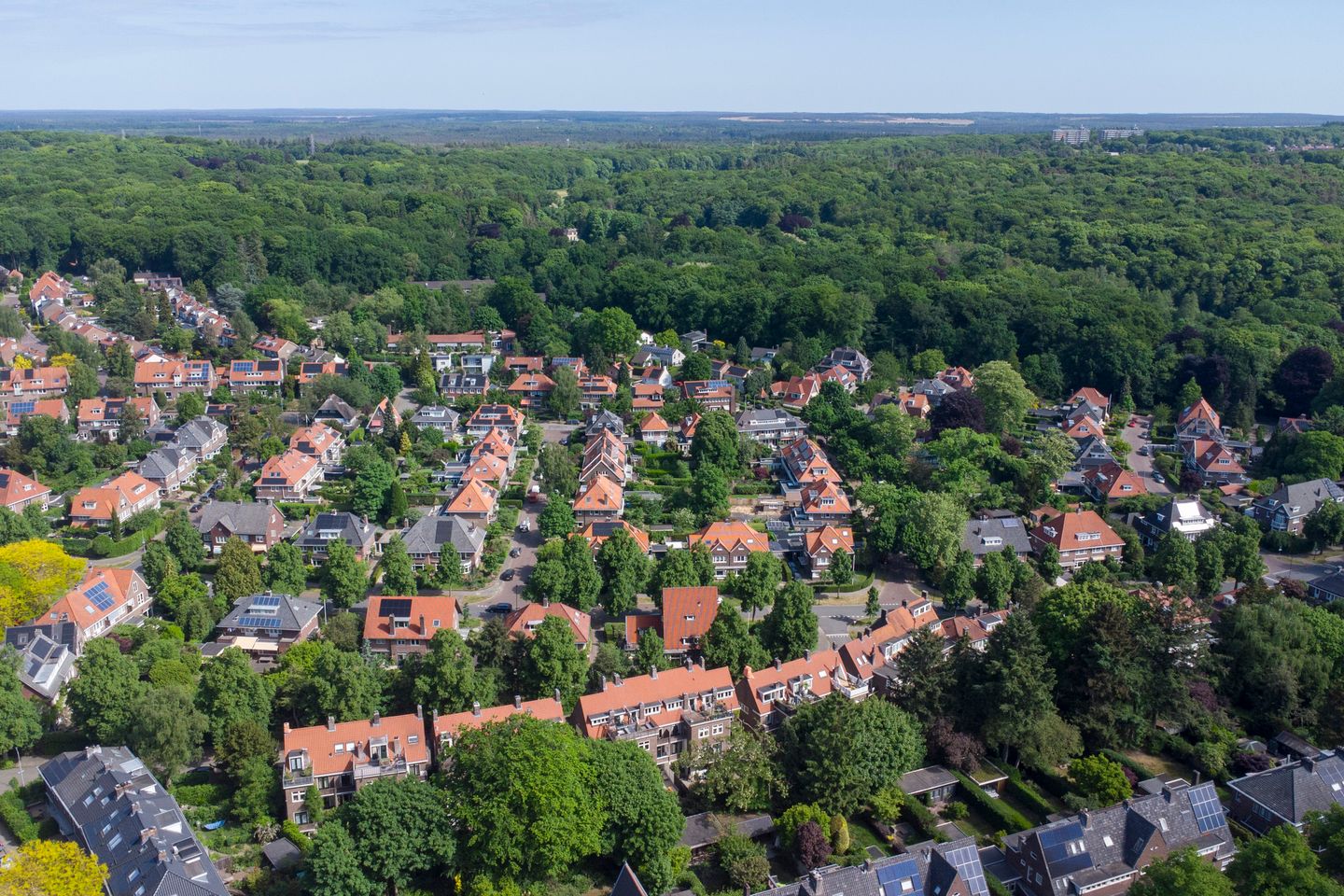 Foto 49 van Frans Halslaan 49