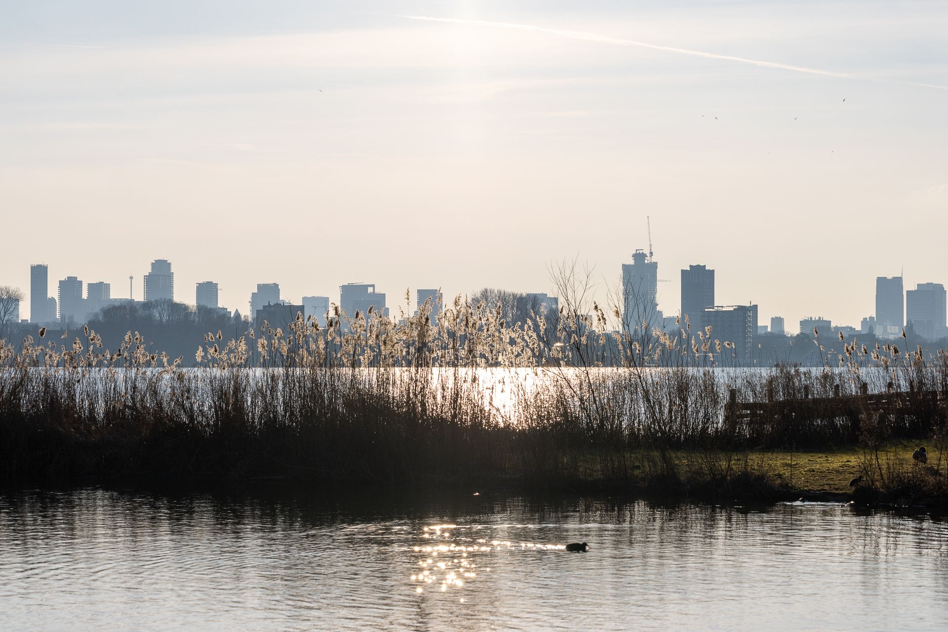 Foto 33 van Willem van Boelrestraat 101