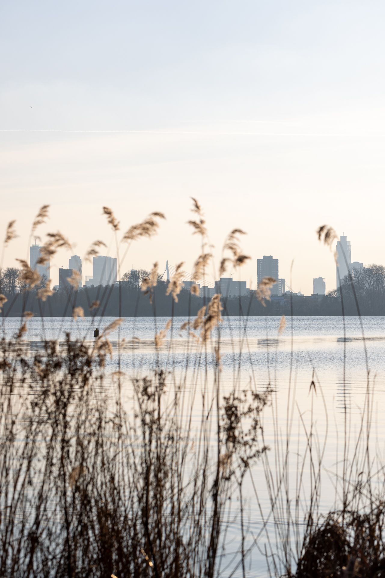 Foto 34 van Willem van Boelrestraat 101