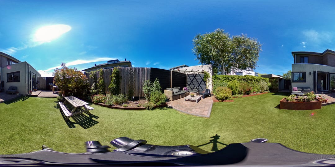 Foto 38 van Zanglijster 9