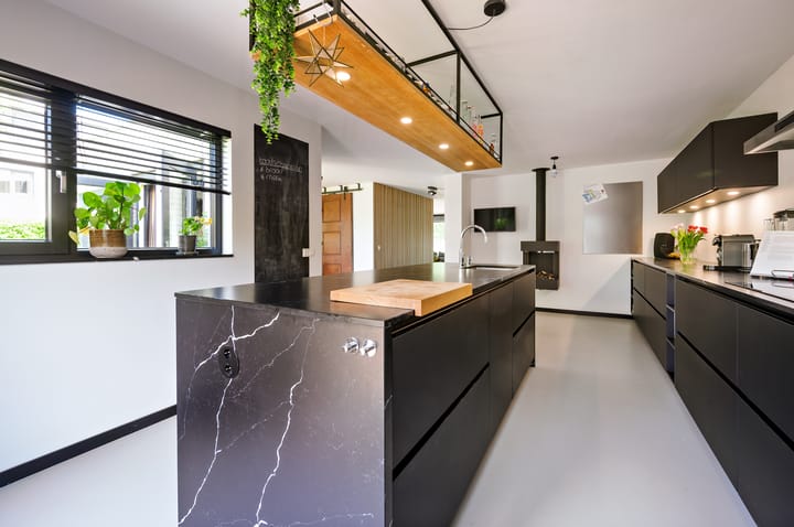 Foto 15 van Zanglijster 9