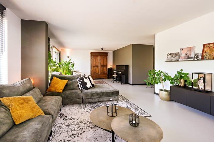 Foto 2 van Zanglijster 9