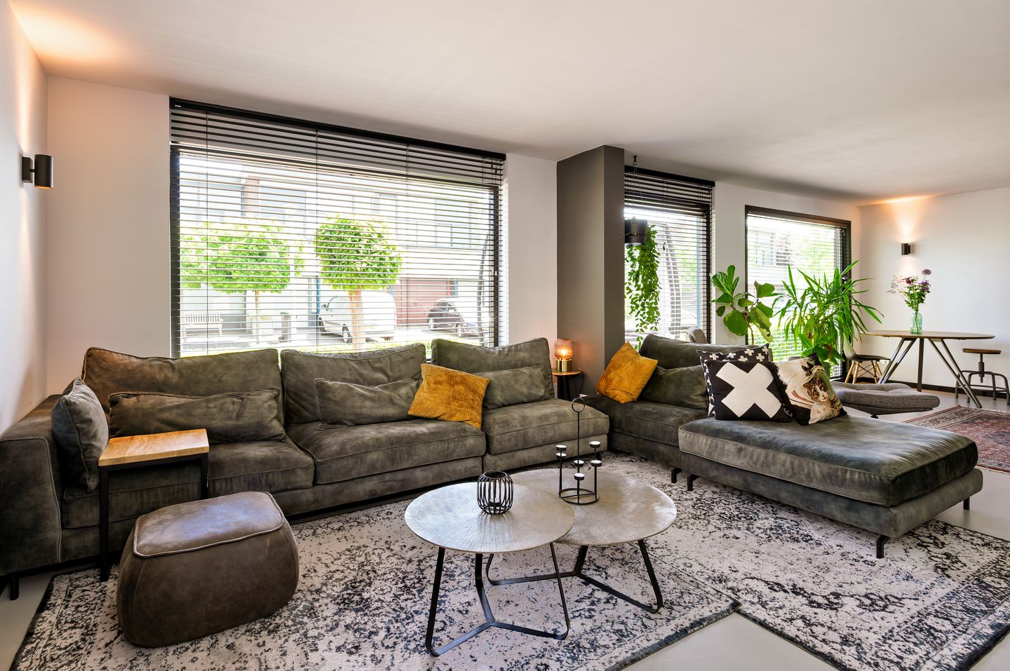 Foto 4 van Zanglijster 9