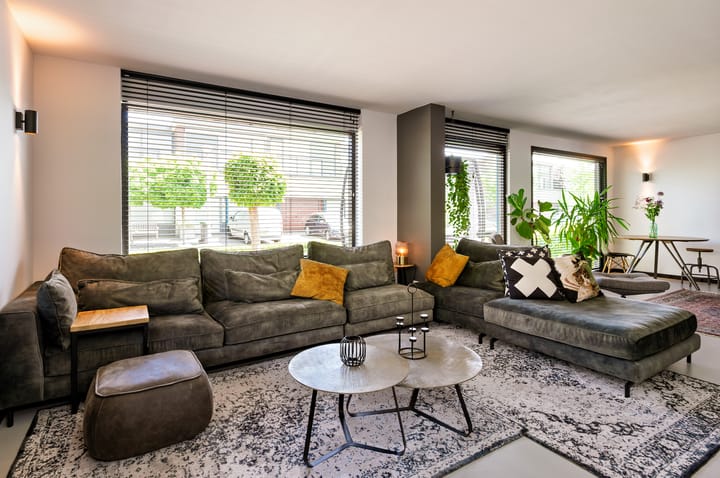 Foto 4 van Zanglijster 9