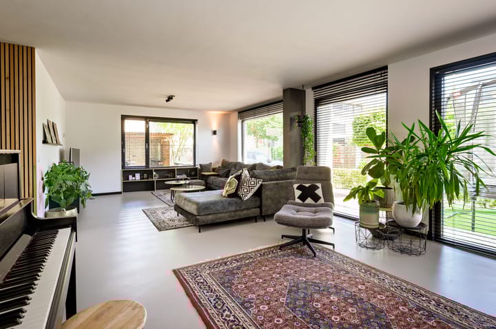 Foto 3 van Zanglijster 9