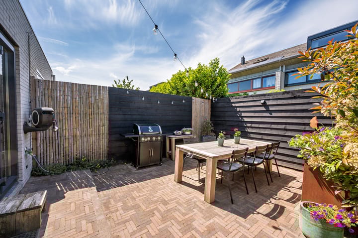 Foto 39 van Zanglijster 9