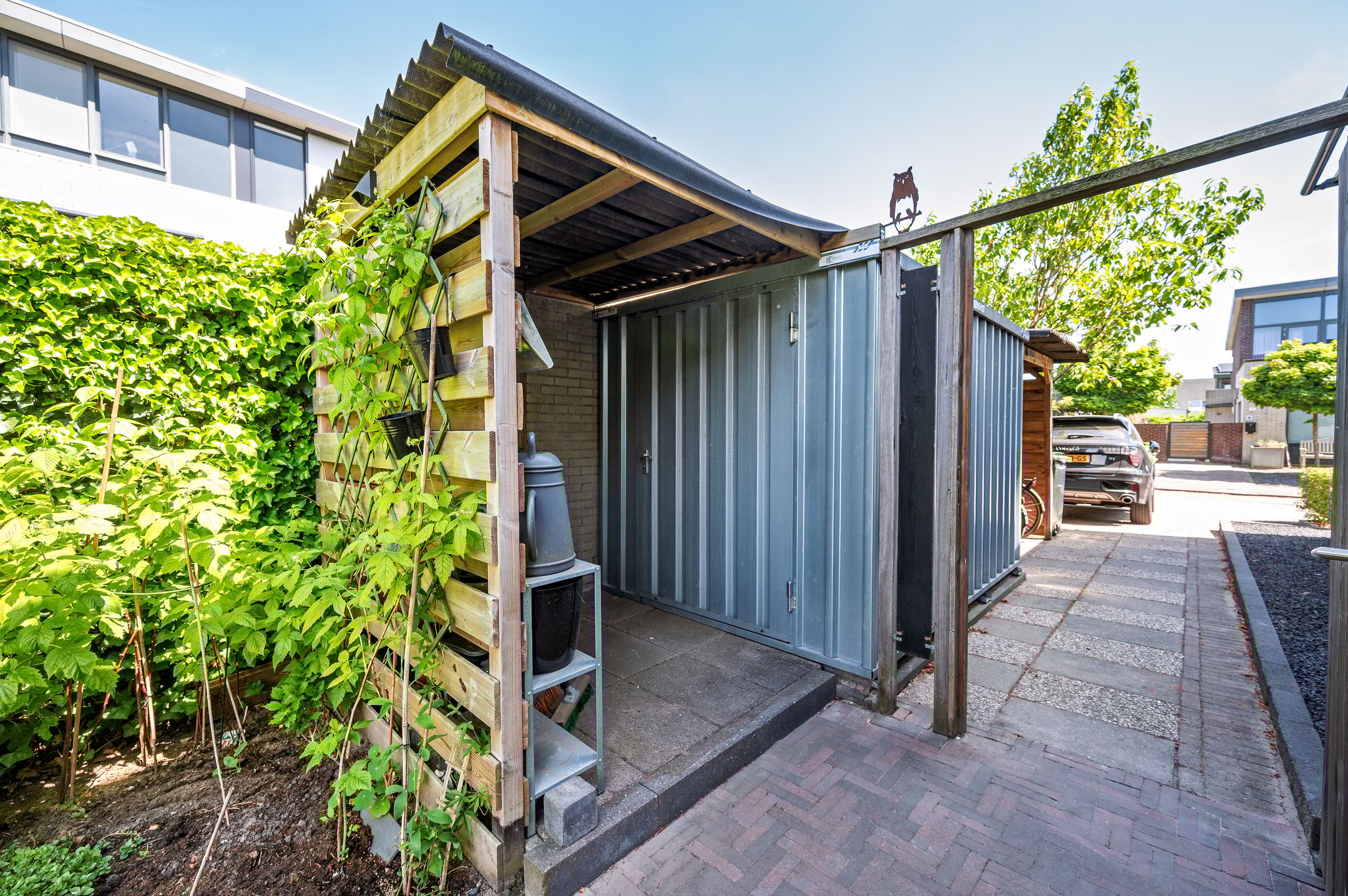 Foto 42 van Zanglijster 9