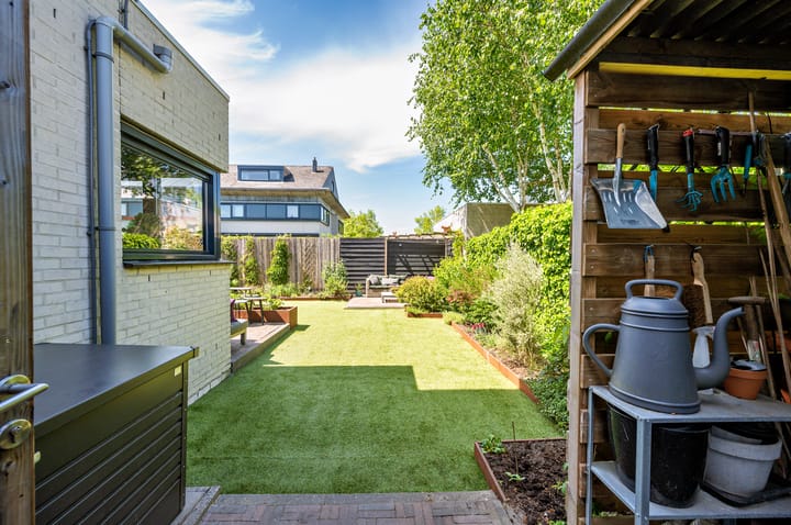 Foto 43 van Zanglijster 9