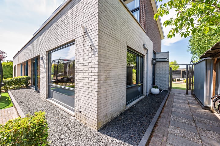 Foto 45 van Zanglijster 9