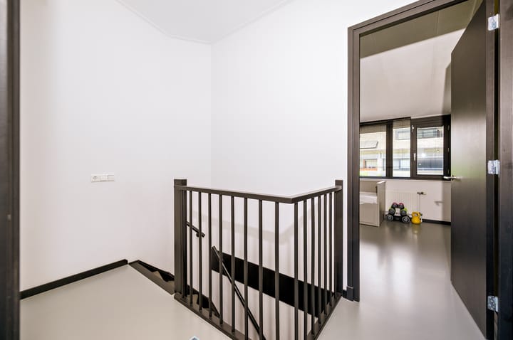 Foto 21 van Zanglijster 9