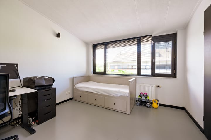 Foto 23 van Zanglijster 9