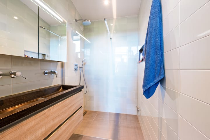 Foto 31 van Zanglijster 9