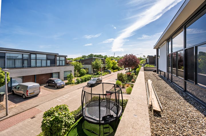 Foto 46 van Zanglijster 9