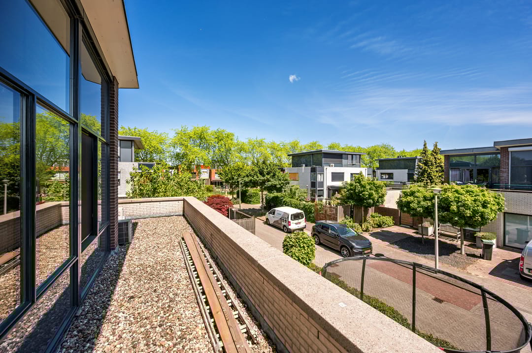 Foto 47 van Zanglijster 9