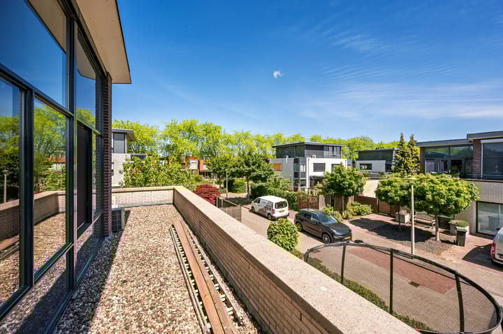 Foto 47 van Zanglijster 9