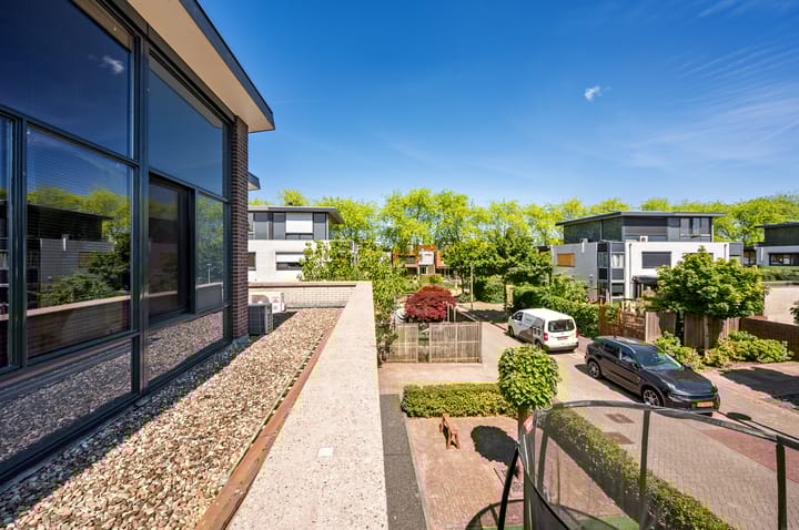 Foto 48 van Zanglijster 9