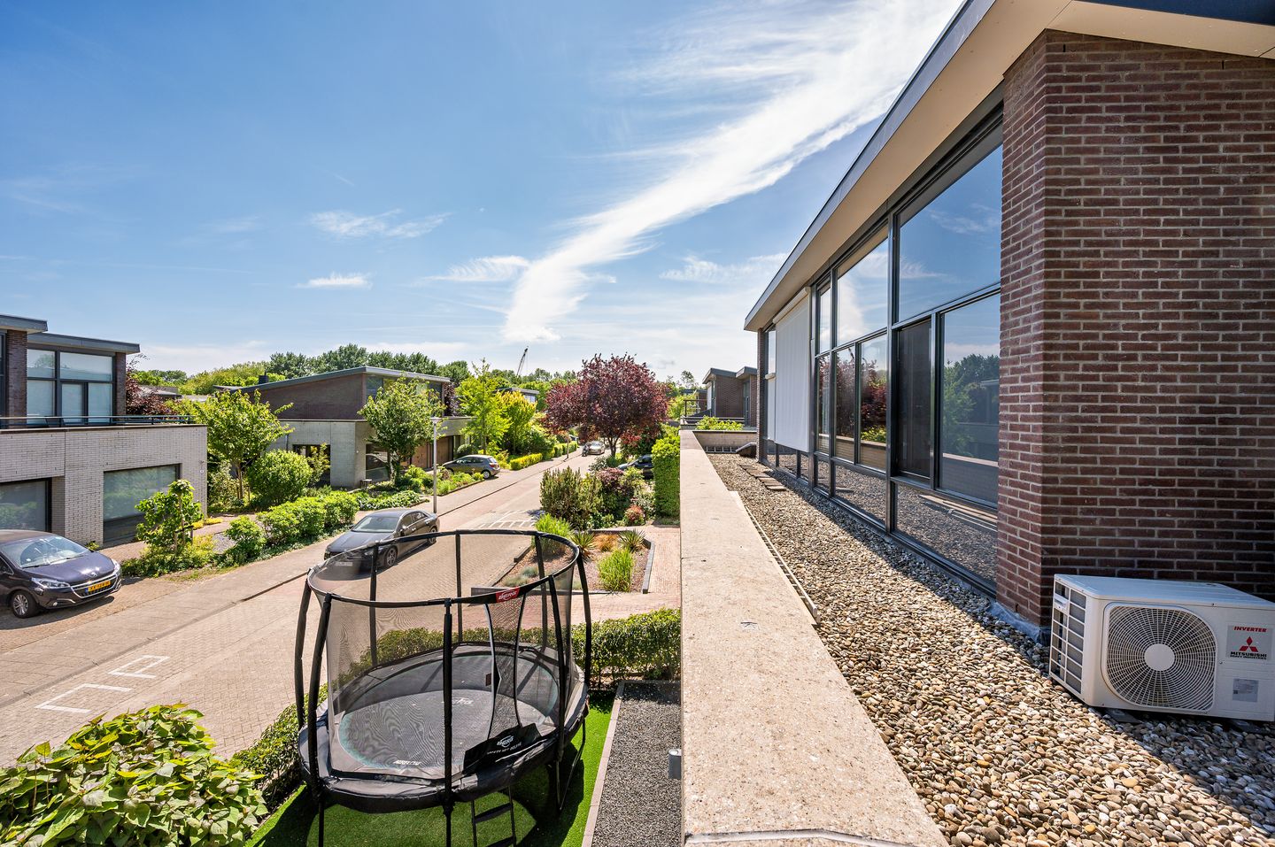 Foto 49 van Zanglijster 9