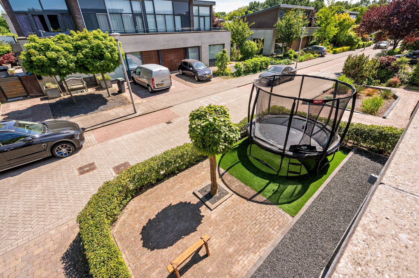 Foto 50 van Zanglijster 9