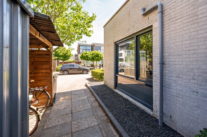 Foto 51 van Zanglijster 9