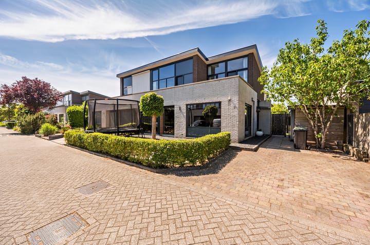 Foto 52 van Zanglijster 9