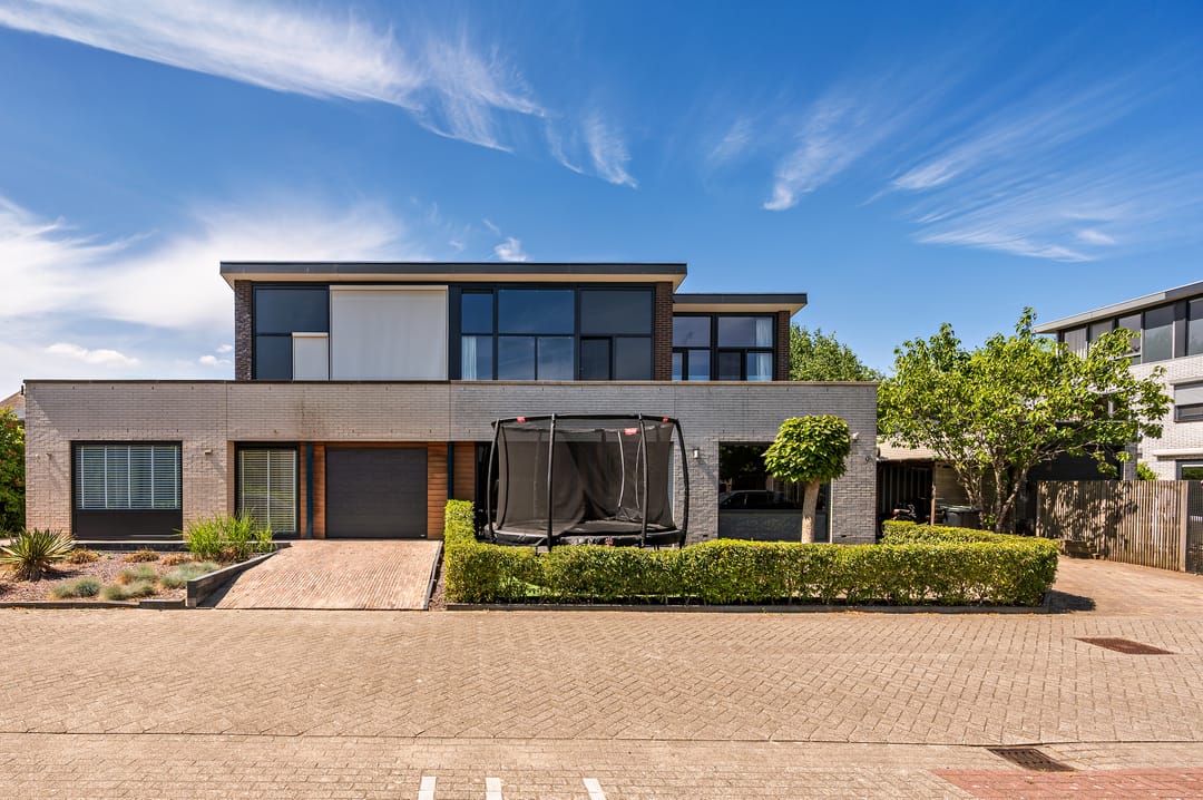 Foto 1 van Zanglijster 9