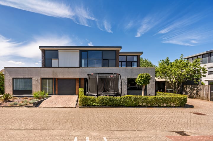 Foto 1 van Zanglijster 9