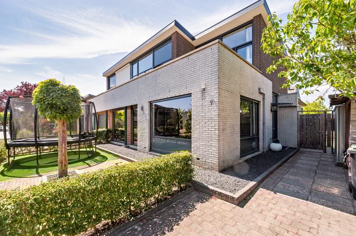 Foto 53 van Zanglijster 9