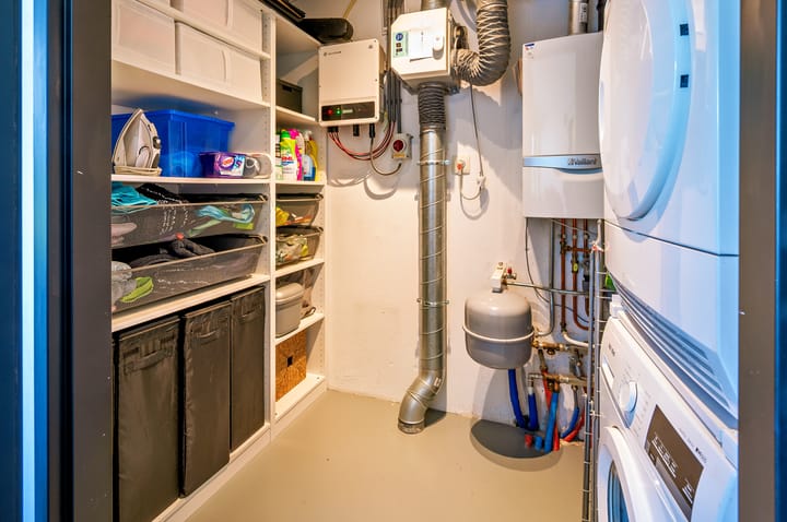 Foto 32 van Zanglijster 9