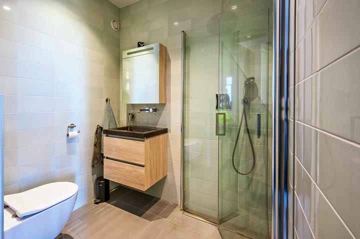 Foto 22 van Zanglijster 9