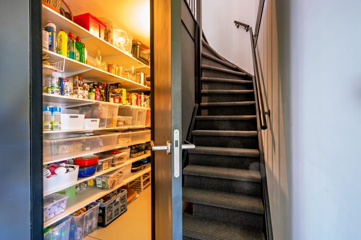 Foto 17 van Zanglijster 9