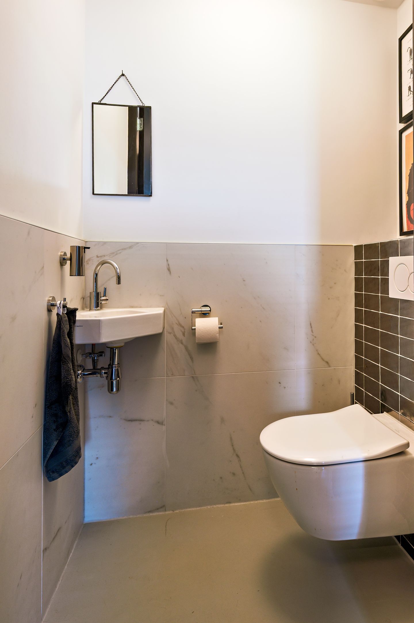 Foto 20 van Zanglijster 9