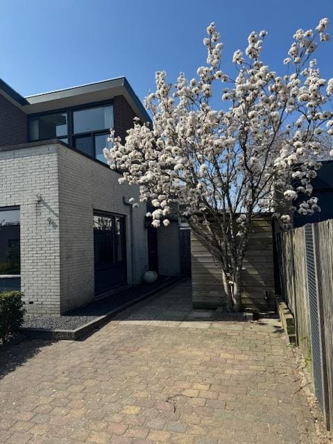 Foto 59 van Zanglijster 9