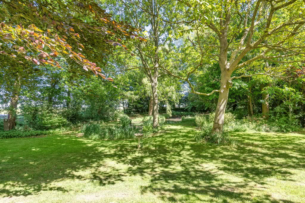 Foto 44 van Trophornsterweg 4