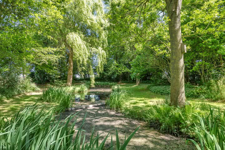 Photo 45 of Trophornsterweg 4