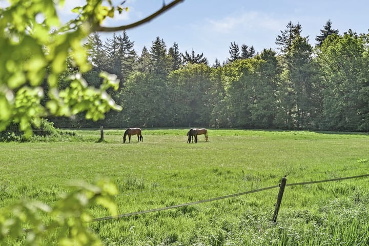 Foto 43 van Hoogeveenseweg 23