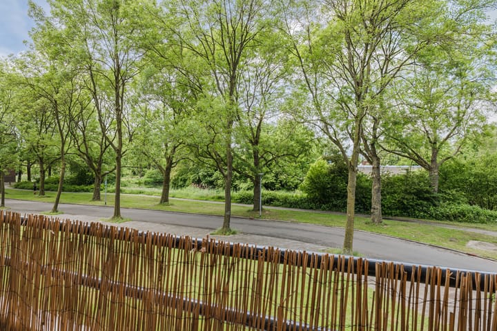 Foto 29 van Donderslaan 46